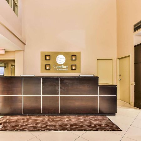 Comfort Inn & Suites Ambassador Bridge Windsor Bagian luar foto