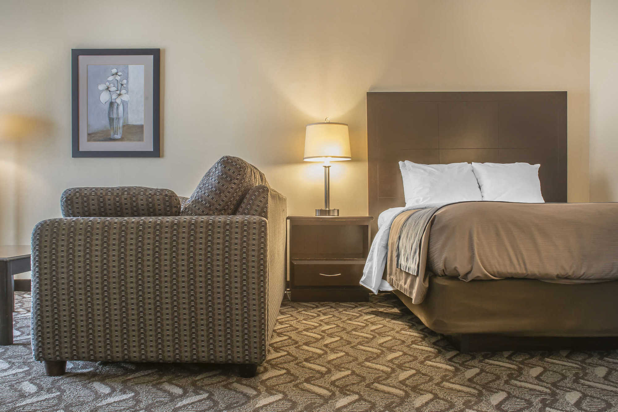 Comfort Inn & Suites Ambassador Bridge Windsor Ruang foto